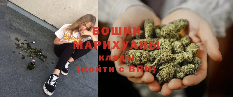 где купить наркотик  блэк спрут   МАРИХУАНА SATIVA & INDICA  Александровск 